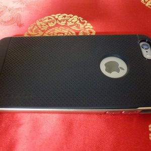 verus iron shield back side.jpg