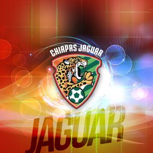 ligraficamx_13072013_5_chiapas.jpg