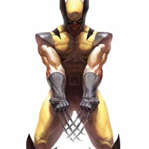 Wolverine_Vol_3_73_Variant_Frame_Textless.jpg