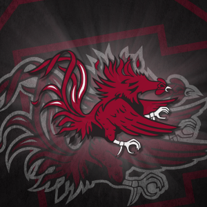 South Carolina Gamecocks.png