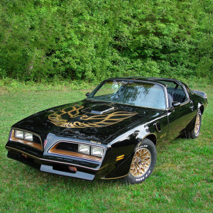 Trans Am 02.png