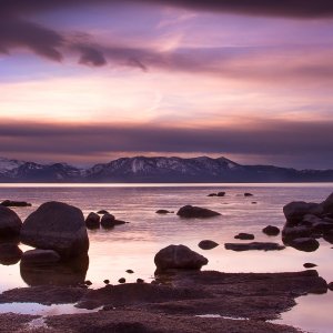 03819_zephyrtwilight_1242x2208.jpg