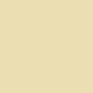 skin tone.png