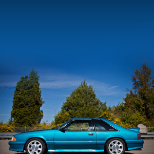 Mustang.png