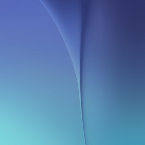 S2.png