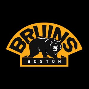 bruins04.jpg
