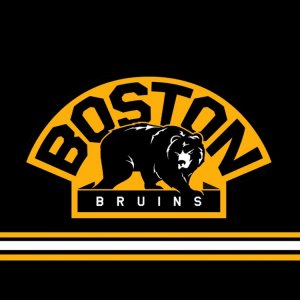 bruins06.jpg