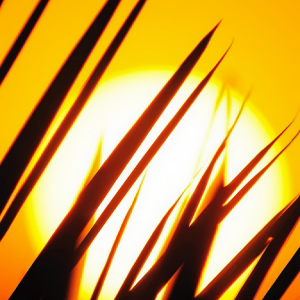 Grass Sun 01.png