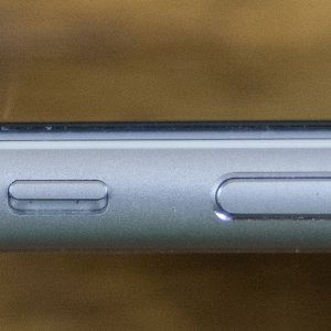P3100015.jpg