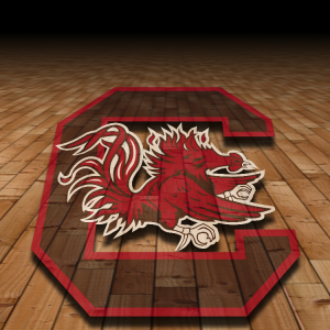 South Carolina Gamecock.png