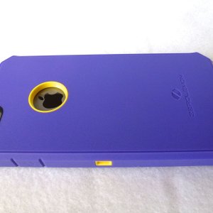 ZeroLemon Protector: Back View.jpg