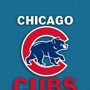 Cubs brick 01.png