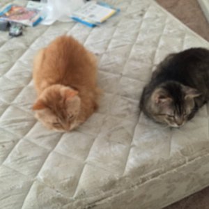 20150411_172112260_iOS.jpg