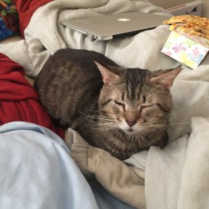 20150411_201803294_iOS.jpg