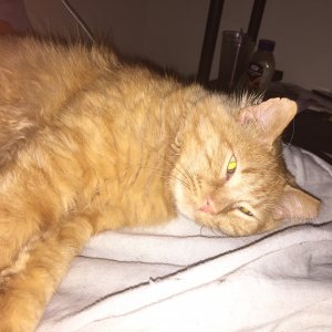 20150414_232003095_iOS.jpg