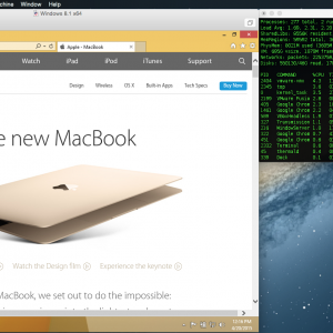 Screen Shot 2015-04-20 at 12.16.19 PM.png