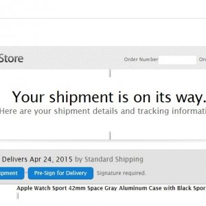 apple watch.jpg