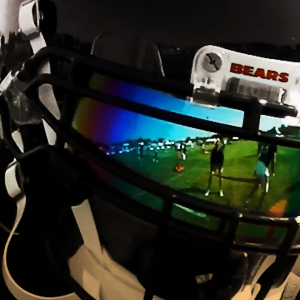 Bears 02.png