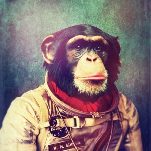 SPACE CHIMP.jpg