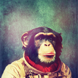 Space Chimp 01.png