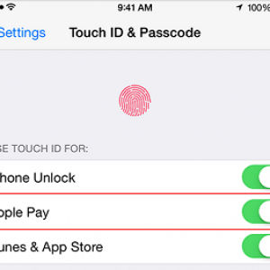 appe_pay_touch_id_setting.png