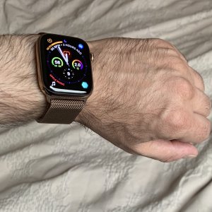 IMG_0024.jpeg