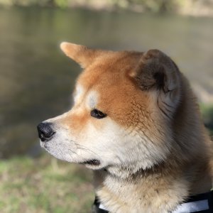 8F418464-B656-4141-BF5B-6AA0335E6E86.jpeg