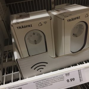 IMG_7367.jpeg