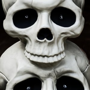 Spooky.jpg