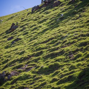 _MG_3750.jpg