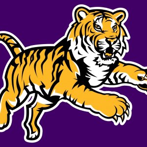 LSU_Tigers2.jpg