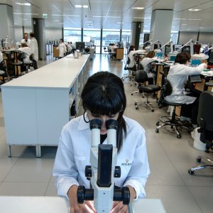 Rolex-Watch-Manufacture-1.jpg