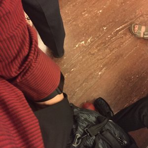 image.jpg