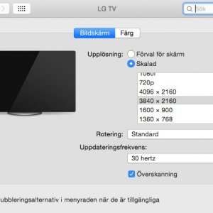 Mac Pro GTX80 monitor pref.jpg