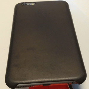 casepic1.gif