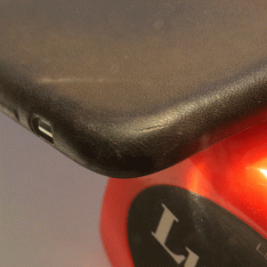 casepic2.gif