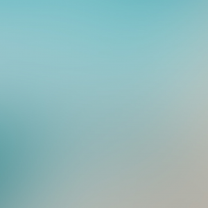 10.png