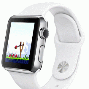 Angry Birds on iWatch.gif