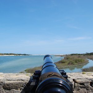 DSC_7380.JPG