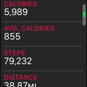 STEPS.PNG