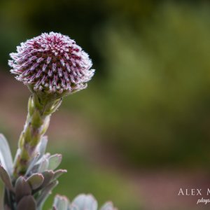 (2018-10-03 12-31-35)Canon Canon EOS 6D(5472x3648).jpg