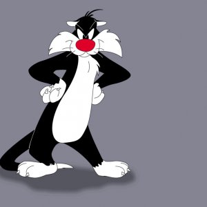 sylvester-the-Cat-wallpaper.jpg