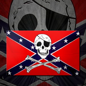 Rebel Pirate.png