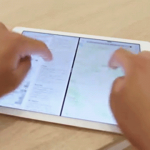 Untitled-1.gif