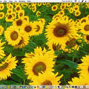 Mydesk0204.jpg