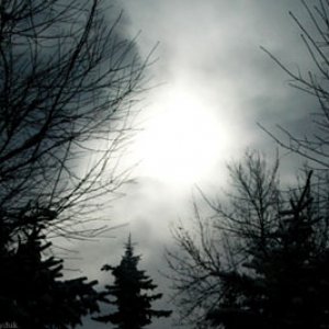sunbackgroundweb.jpg