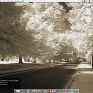 Picture-1.jpg
