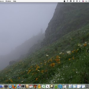 ScreenShotScaled.jpg