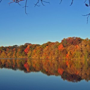 Autumn.jpg