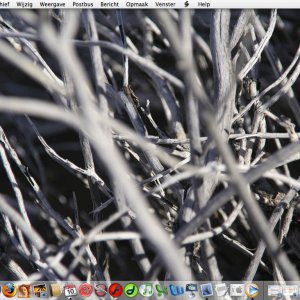 desktop.jpg